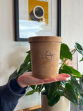 1L Tub Vanilla Softserve (pairs well with brownie platter)
